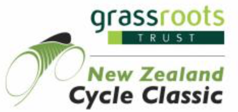 NZCC logo.png